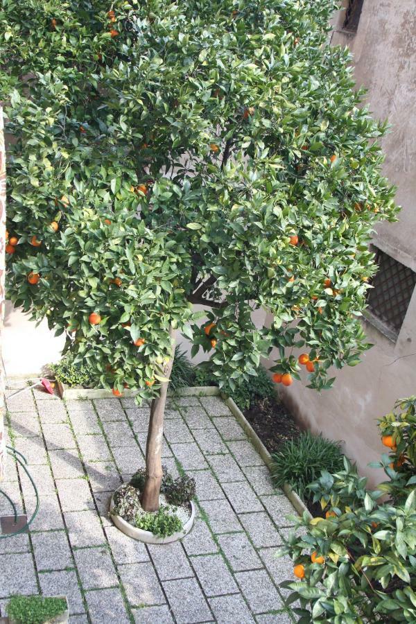Wellnessinnrome Shortlet Exterior photo